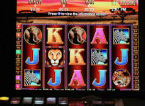 大小单双导师带赚包赔免费版