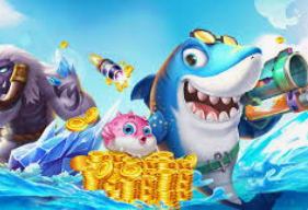 大小单双导师带赚包赔免费版